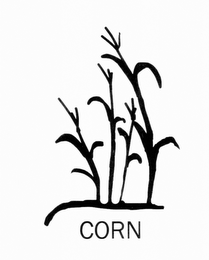 CORN