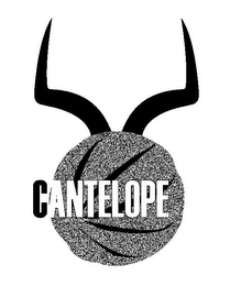 CANTELOPE