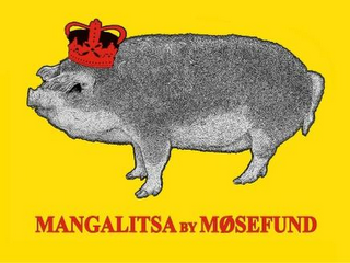 MANGALITSA BY MOSEFUND