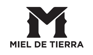 M MIEL DE TIERRA