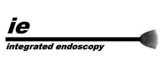 IE INTEGRATED ENDOSCOPY