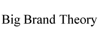 BIG BRAND THEORY