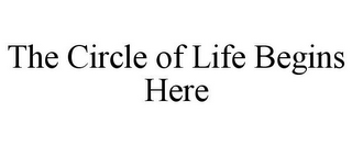 THE CIRCLE OF LIFE BEGINS HERE