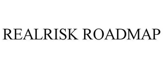 REALRISK ROADMAP