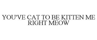 YOU'VE CAT TO BE KITTEN ME RIGHT MEOW