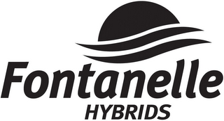 FONTANELLE HYBRIDS