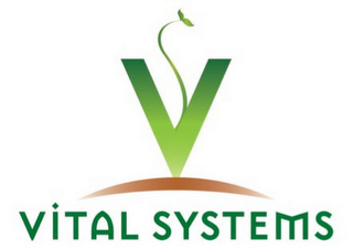 V VITAL SYSTEMS