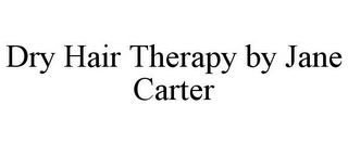 DRY HAIR THERAPY BY JANE CARTER