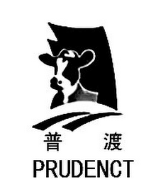 PRUDENCT