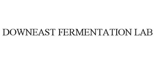 DOWNEAST FERMENTATION LAB