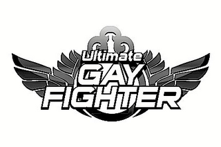 ULTIMATE GAY FIGHTER