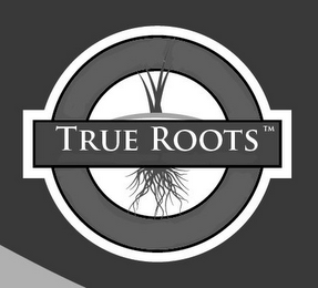 TRUE ROOTS