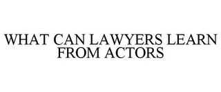 WHAT CAN LAWYERS LEARN FROM ACTORS