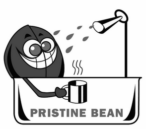 PRISTINE BEAN