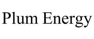 PLUM ENERGY