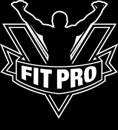 V FIT PRO