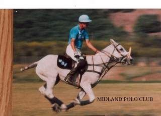 MIDLAND POLO CLUB