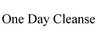 ONE DAY CLEANSE