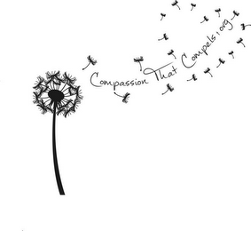 COMPASSION THAT COMPELS.ORG