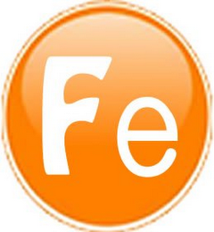 FE