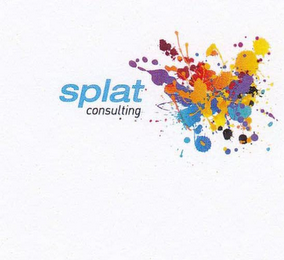 SPLAT CONSULTING