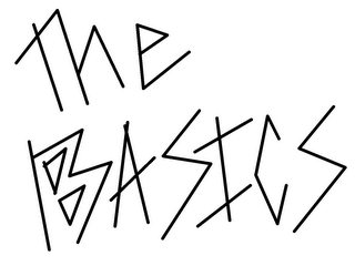 THE BASICS