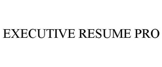 EXECUTIVE RESUME PRO