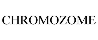 CHROMOZOME