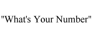 "WHAT'S YOUR NUMBER"