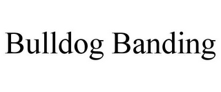 BULLDOG BANDING