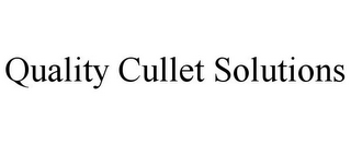 QUALITY CULLET SOLUTIONS