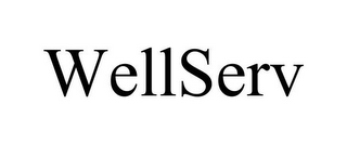 WELLSERV