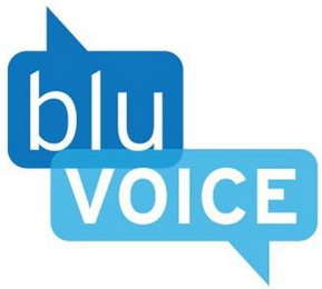 BLUVOICE