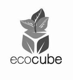 ECOCUBE