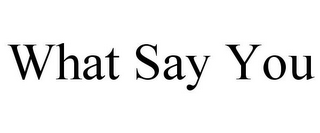 WHAT SAY YOU