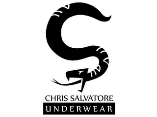 CHRIS SALVATORE UNDERWEAR