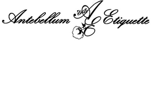 ANTEBELLUM AE ETIQUETTE