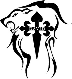 DAVID