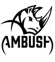 AMBUSH