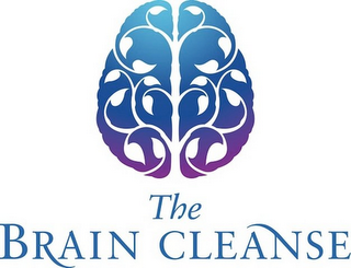 THE BRAIN CLEANSE