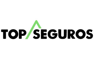 TOP SEGUROS