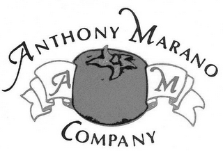 A M ANTHONY MARANO COMPANY