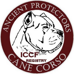 CANE CORSO ANCIENT PROTECTORS ICCF REGISTRY