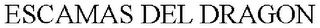 ESCAMAS DEL DRAGON