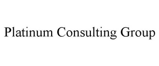 PLATINUM CONSULTING GROUP