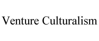 VENTURE CULTURALISM