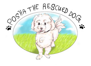 POSHA THE RESCUED DOG