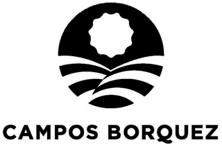 CAMPOS BORQUEZ