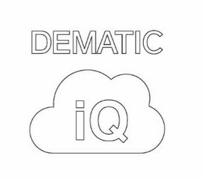 DEMATIC IQ