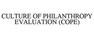 CULTURE OF PHILANTHROPY EVALUATION (COPE)